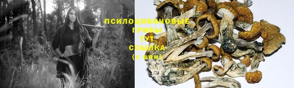твердый Остров
